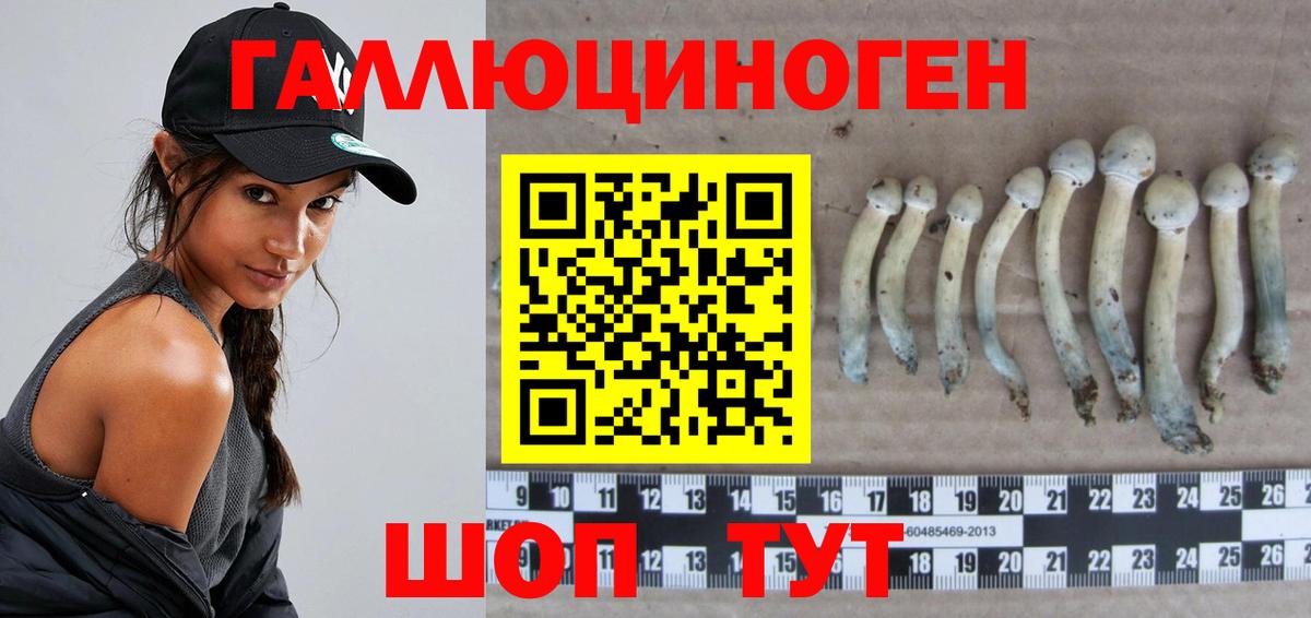 Галлюциногенные грибы мухоморы  Вход с VPN  Северск 
